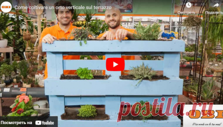 Come coltivare un orto verticale sul terrazzo * Переделки.Ру Видео:* Come coltivare un orto verticale sul terrazzo