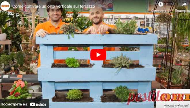 Come coltivare un orto verticale sul terrazzo * Переделки.Ру Видео:* Come coltivare un orto verticale sul terrazzo