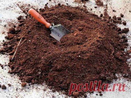 Торф – почва или удобрение? — Ⴚα∂ ℨα୮০τ০Ᏸҡα