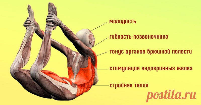 Женщинам 40+ обязательно! «Поза лука» и еще 5 упражнений, которые быстро вернут былую форму. Если ты находишься в поиске действенного способа привести себя в форму за считаные недели, то наткнулась на нужную статью! Избавиться от лишних сантиметров и зарядиться энергией без лишних усилий вполне реально, и всё благодаря бодифлексу. Этот комплекс дыхательной гимнастики не зря находит поклонников по всему миру: особая методика дыхания обогащает организм кислородом, а физическ...