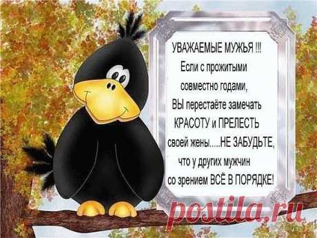 Нина Школа (Корчагина)
52 года, Россия, Ярцево
все её фото