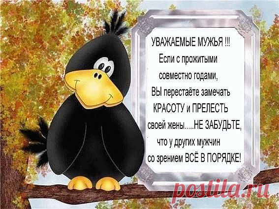 Нина Школа (Корчагина)
52 года, Россия, Ярцево
все её фото