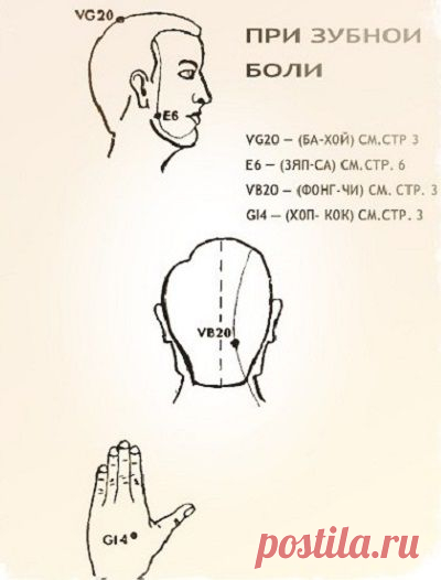 Целебные свойства бальзама «Звездочка»