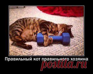 100 повторов — Мотиваторы !!!!