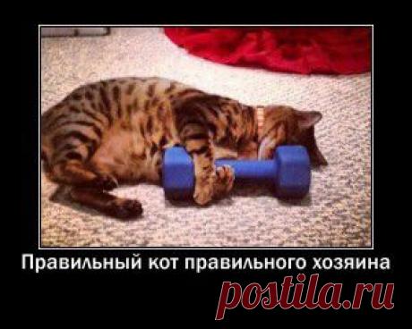 100 повторов — Мотиваторы !!!!