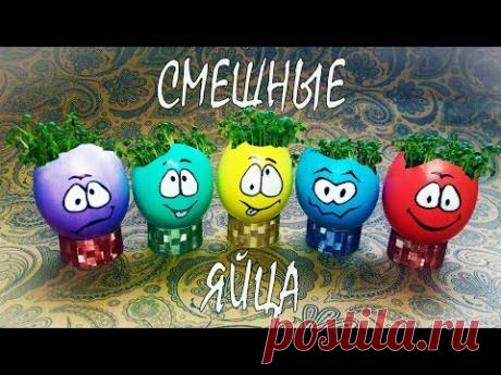 Смешные яйца / Огород на подоконнике