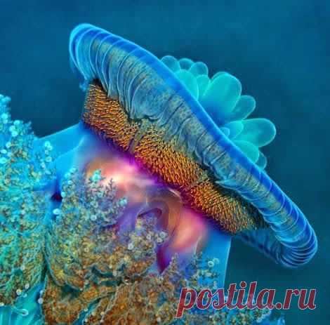 хх