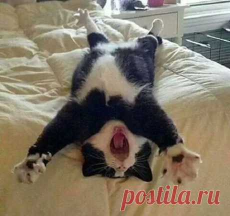 (14) Одноклассники