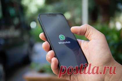 «Это не просто мессенджер, а инструмент влияния». WhatsApp может уйти из России. Кто займет его место и что будет с Telegram?