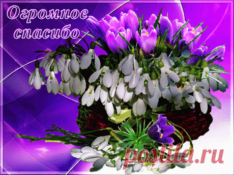 Огромное спасибо !
