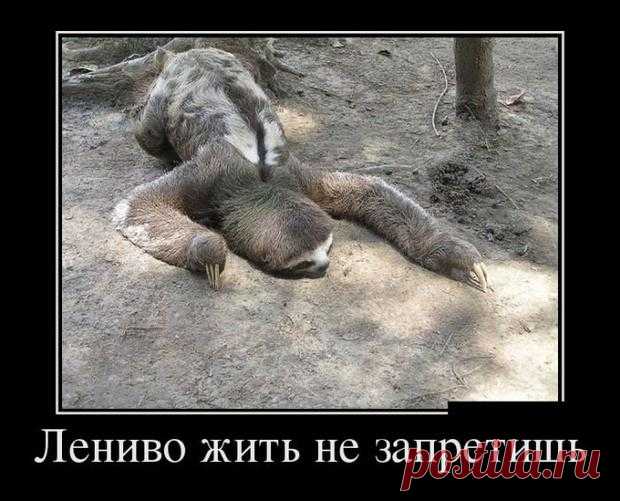 Смешные демотиваторы выходного дня