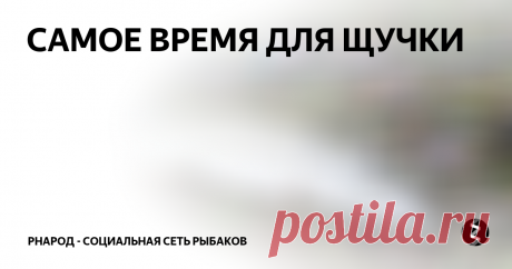 САМОЕ ВРЕМЯ ДЛЯ ЩУЧКИ 
Много не ходил, ловил на точке где сто пудово есть рыба, главное ключик подобрать. Место сложное, рыбу надо доставать из травы, а она на этом месте круглый год зараза стоит.
В этом месте хорошо работает каролина, техас. Но щука часто режет, можно конечно на стальке замутить оснастку, но это не то.
