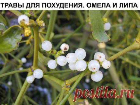 (47) Одноклассники