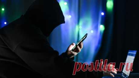 Раскрыта схема мошенников с фейковыми дивидендами ко Дню народного единства