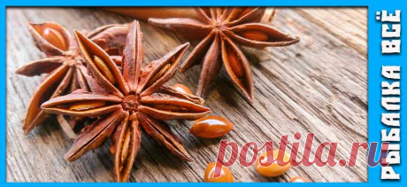 Какую рыбу привлекает запах аниса? | Рыбалка Всё | Дзен
