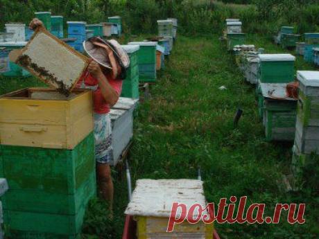 Одноклассники