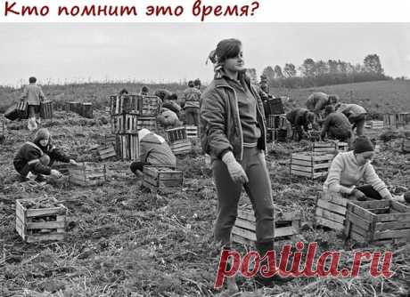 А не махнуть ли нам в прошлое?