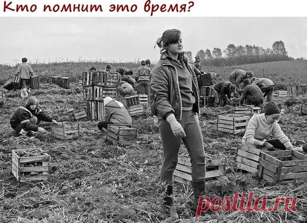 А не махнуть ли нам в прошлое?