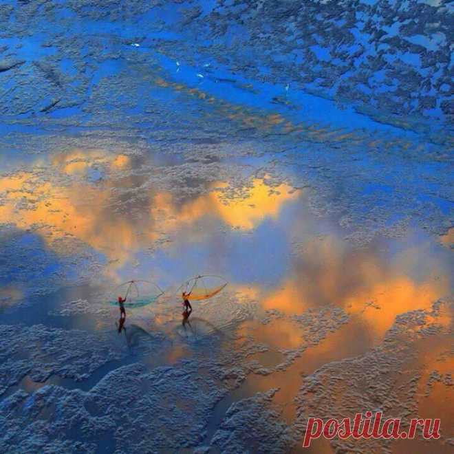 Алена Кутеева (plamaru) в Твиттере