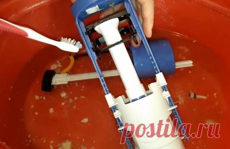 Как правильно очистить бачок унитаза