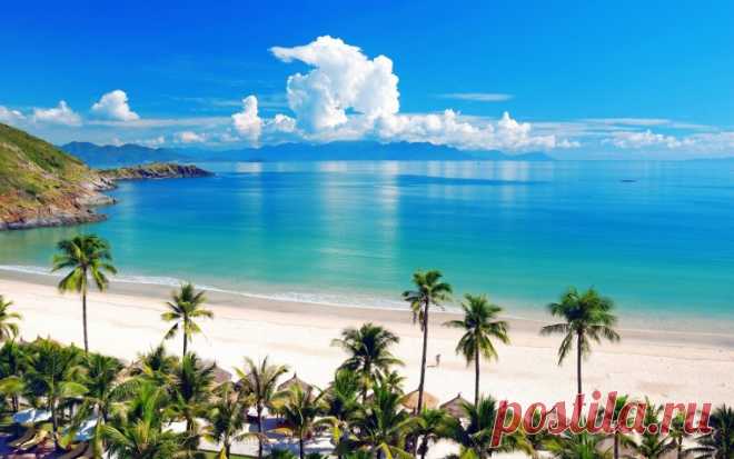 Скачать бесплатно Adobe Camera Raw (Camera Raw) 9.1.1