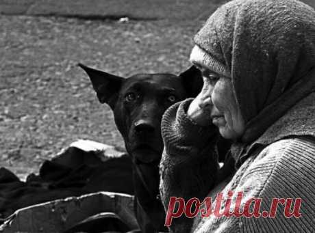 В деревню она ехала умирать,узнав свой диагноз...
Ехала, не страшась этого слова, а чего бояться слов, если даже смерть не пугала...
Нет, она не была из тех бесстрашных, которые спокойно курят на последнем пороге, и улыбаются, как в кино про "так не бывает."
Но душа нажала на клавишу "стоп" и продолжать не хотела.
Работа, дочь с внуком,
сообщения от бывшего мужа, который, пусть и двадцать лет, как бывший, а готовность быть настоящим так никуда и не растерял.
Список якорей большой, но ни од