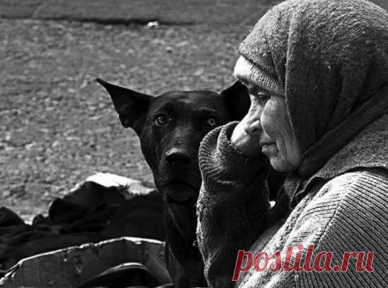 В деревню она ехала умирать,узнав свой диагноз...
Ехала, не страшась этого слова, а чего бояться слов, если даже смерть не пугала...
Нет, она не была из тех бесстрашных, которые спокойно курят на последнем пороге, и улыбаются, как в кино про 
