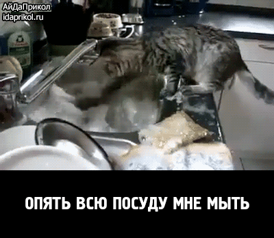 Мой Мир@Mail.Ru