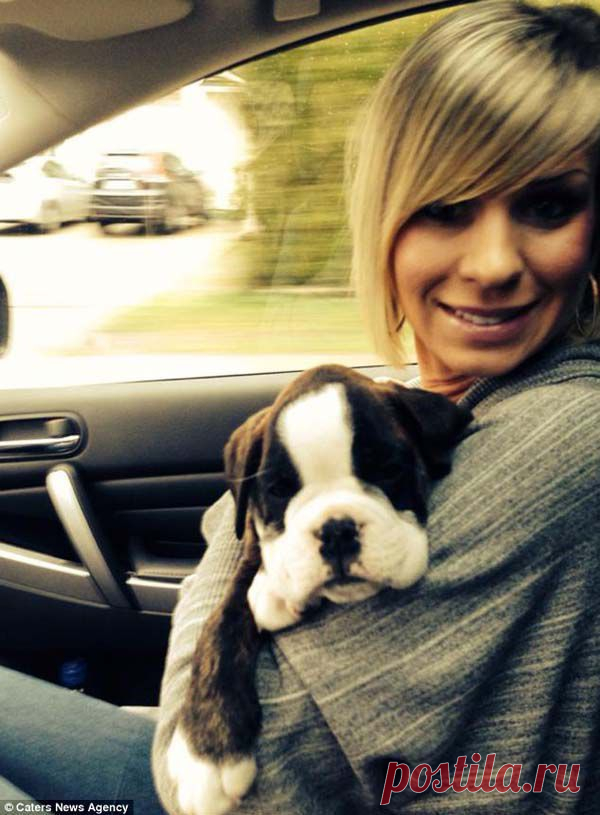 Грустная история... | Уши, лапы, хвост