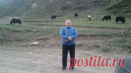 Высоко в горах там где пасутся Яки.