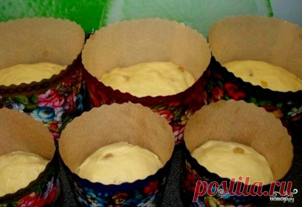 Венское тесто для куличей - пошаговый рецепт с фото на Повар.ру