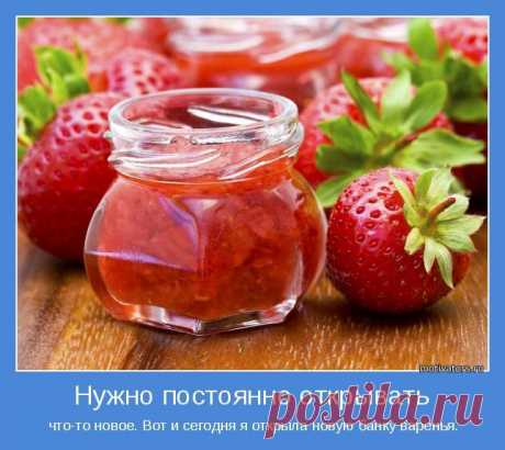 ЖИВЕМ ПОЗИТИВНО И С ЮМОРОМ..! - 23 фото. Фотографии Тамара Колинченко.