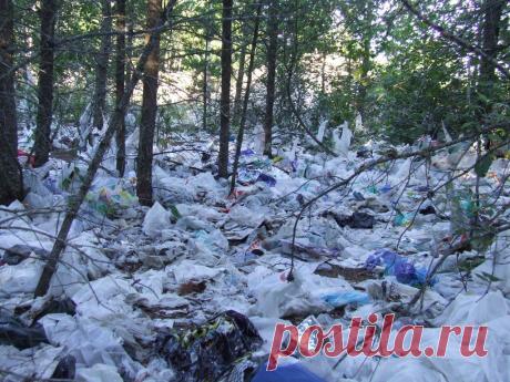 Полиэтиленовая упаковка как экологическая проблема | ПолонСил.ру - социальная сеть здоровья