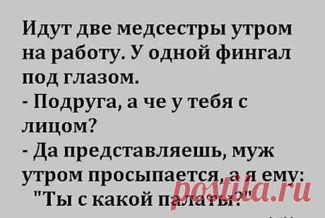 Если нету жизни личной - значит хватит быть приличной! - Приколисты - 31 октября - 43367270464 - Медиаплатформа МирТесен