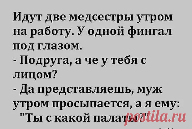 Если нету жизни личной - значит хватит быть приличной! - Приколисты - 31 октября - 43367270464 - Медиаплатформа МирТесен