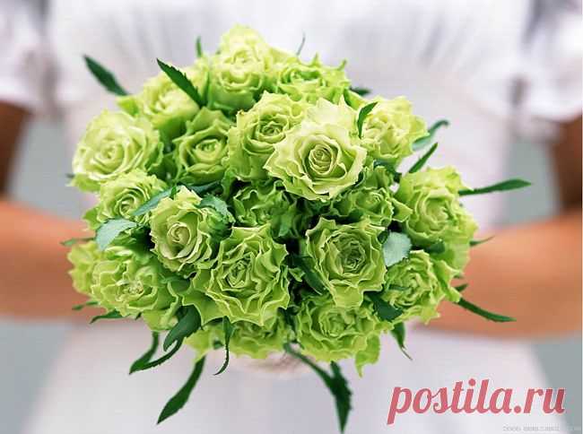 розы