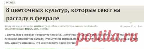 8 цветочных культур, которые сеют на рассаду в феврале / рассада / 7dach.ru