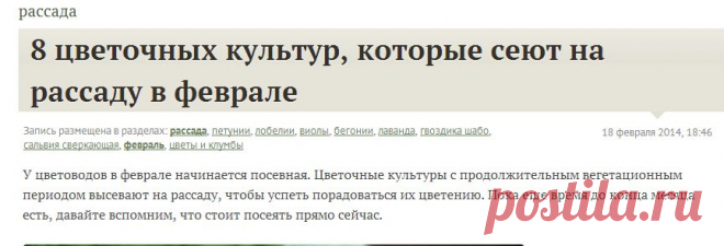 8 цветочных культур, которые сеют на рассаду в феврале / рассада / 7dach.ru