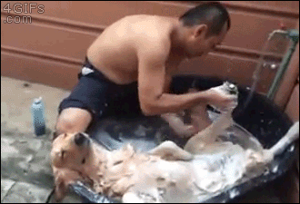 Animated GIF  - Find & Share on GIPHY