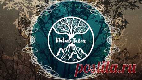 Nature Tales