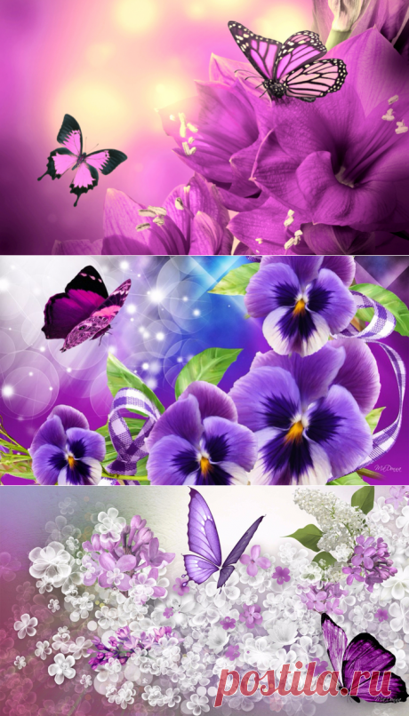 В сиреневом мареве Обои на рабочий стол