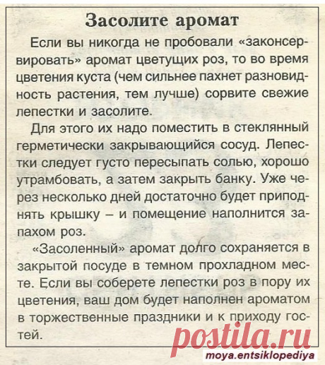 Засолите аромат