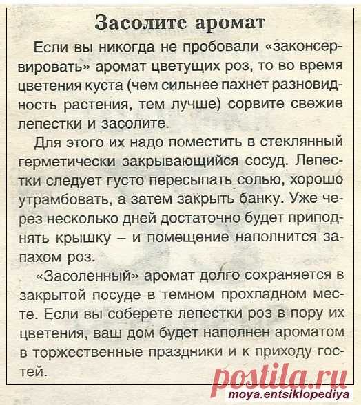 Засолите аромат
