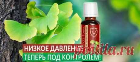 Низкое давление теперь под контролем! 

А вы знали, что пониженное давление в некоторых случаях может быть не менее опасно, чем повышенное? Проявляется оно такими неприятными симптомами, как, например, слабость, неспособность сосредоточиться, сонливость… В целом, пониженное давление снижает и работоспособность, и качество жизни. 

Кроме того, ухудшаются условия работы мозга! Дело в том, что низкое артериальное давление не позволяет доставлять к головному мозгу и другим орг...