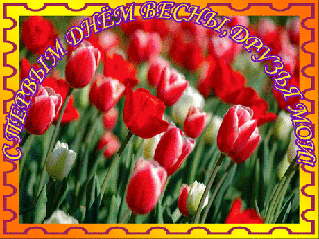 geiE6.gif (976×732)