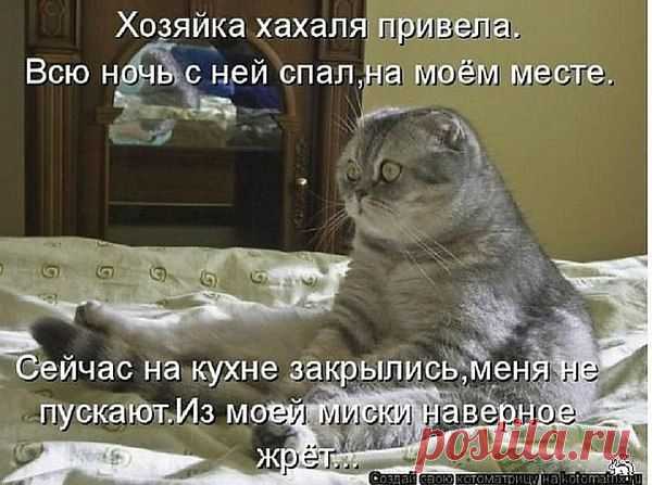 Интересные новости