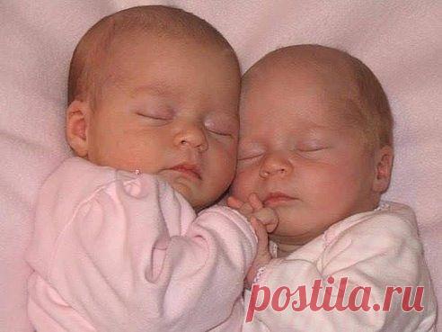 Елена Курская (Киженцева)
52 года, Россия, Барнаул