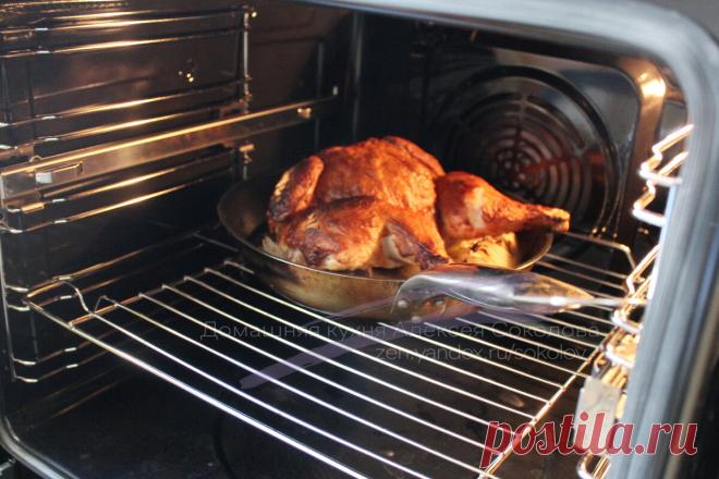 Для чего при запекании курицы выкладывать под нее четвертины луковиц: Птица получается волшебной. Показываю, как это работает | Домашняя кухня | Яндекс Дзен