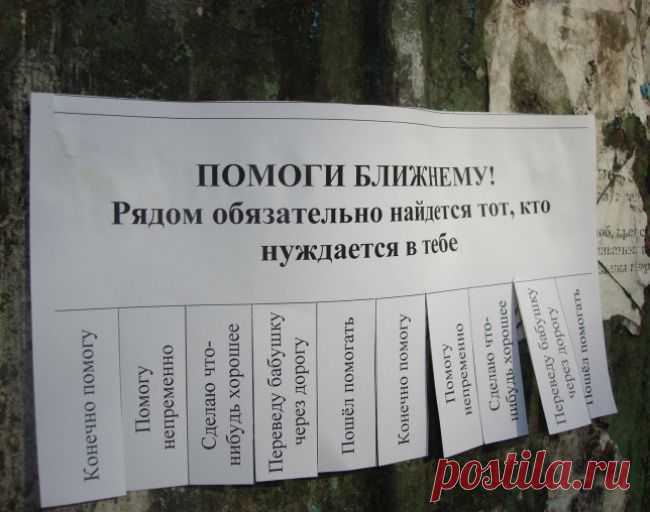 Доброта спасет мир (15 фото) » abunda.ru - скучать не придется!