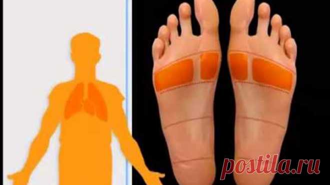 Проекция внутренних органов на стопе
